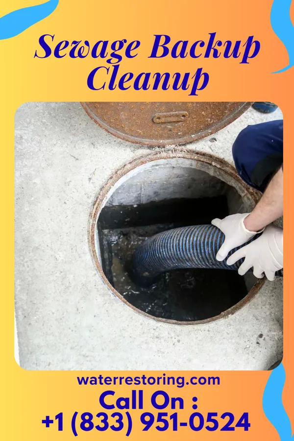 Sewage Backup Cleanup in Southside, AL